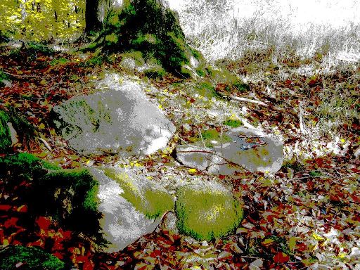 Grib skov